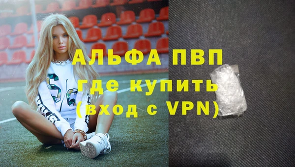 твердый Дмитровск