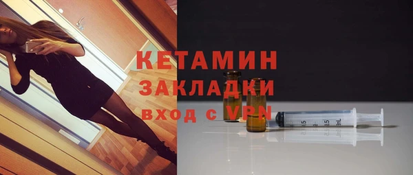 твердый Дмитровск