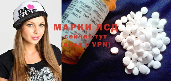 spice Новозыбков