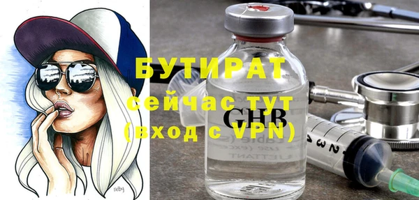 твердый Дмитровск