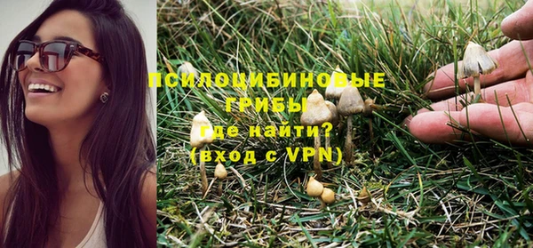 mdma Дмитриев