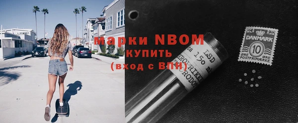 твердый Дмитровск